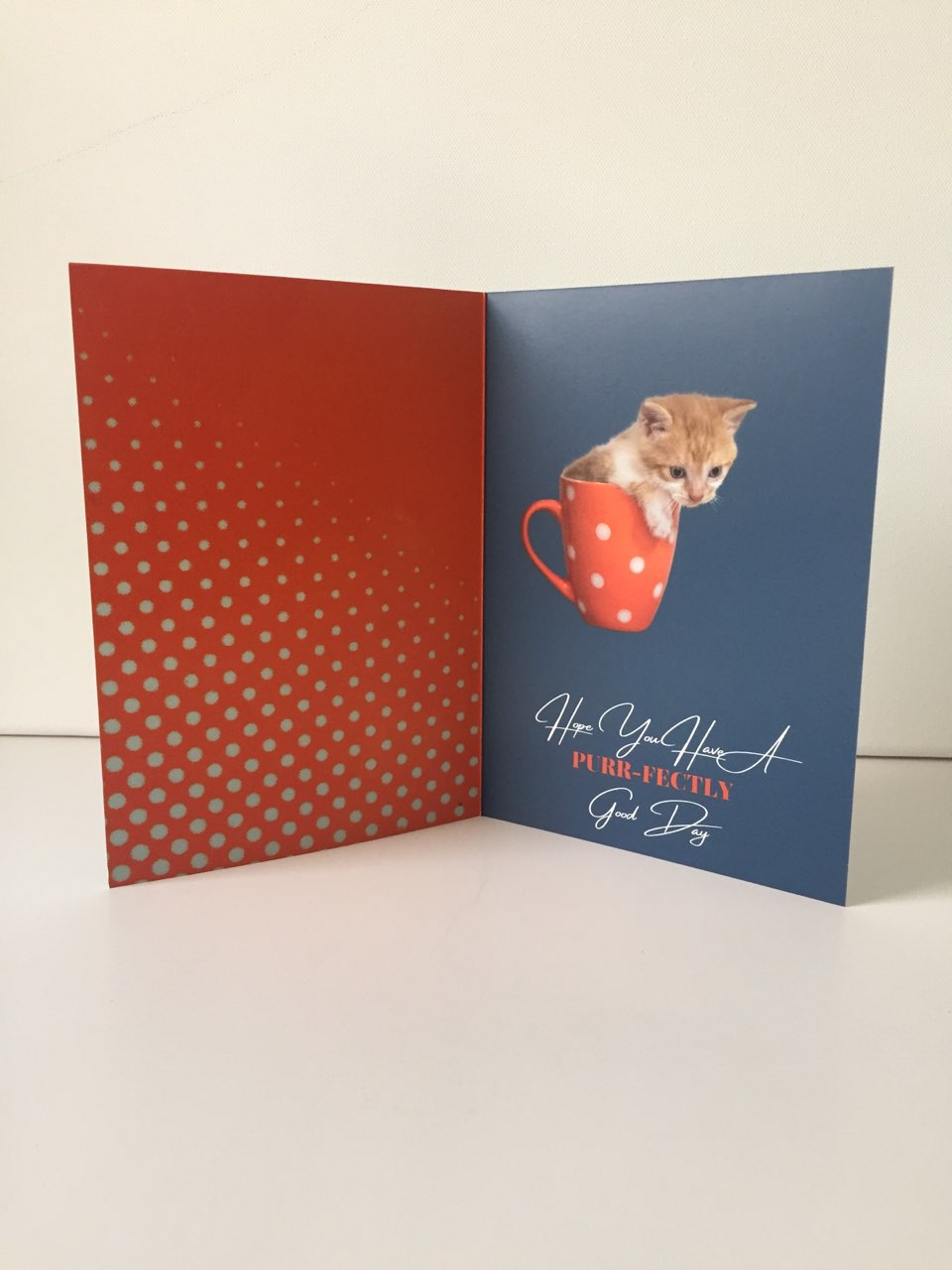 Purr-fectly Good Day 5x7 B-Day card.