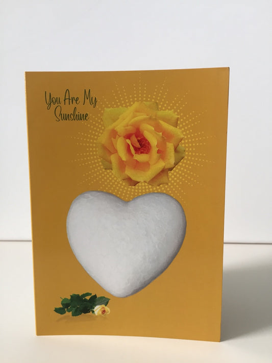 You Are Sunshine 5x7 Valentine Card.