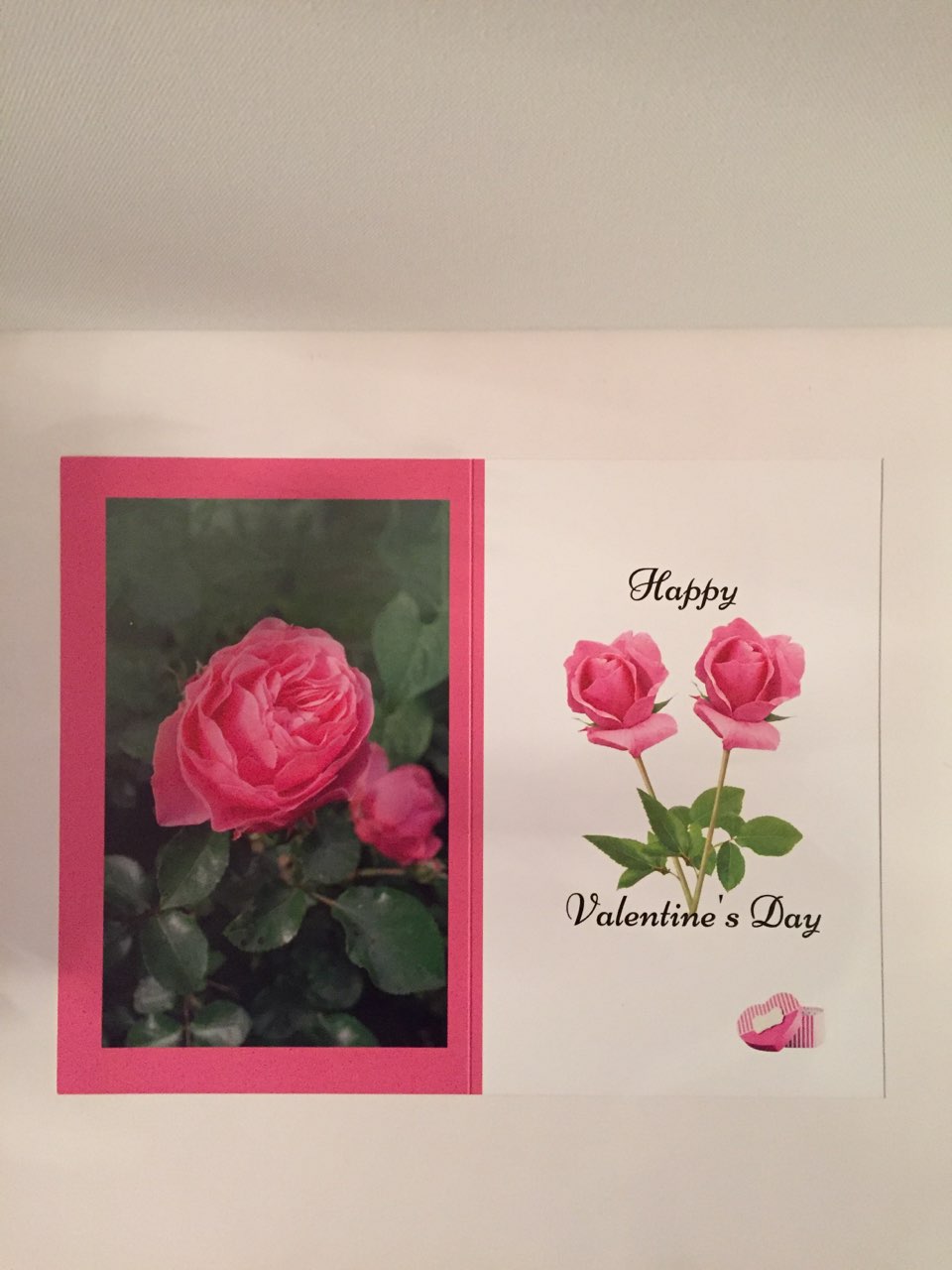 Our Love Grows Stronger 5.5 x 8.5 Valentine's Day Card